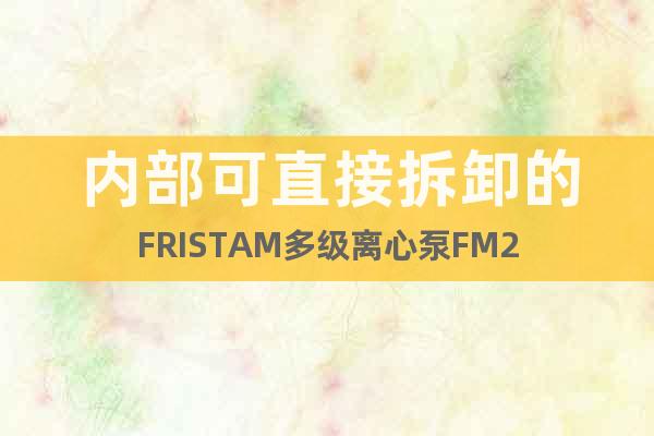内部可直接拆卸的FRISTAM多级离心泵FM2
