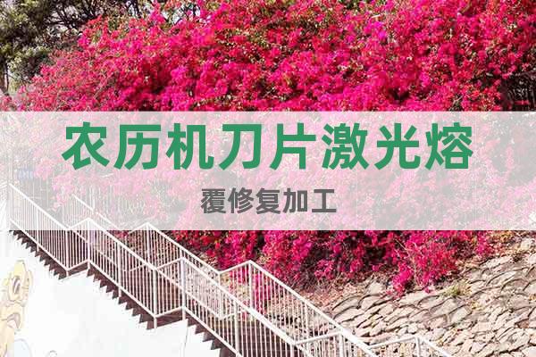 農(nóng)歷機(jī)刀片激光熔覆修復(fù)加工