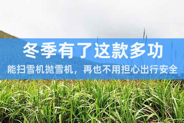 冬季有了這款多功能掃雪機拋雪機，再也不用擔心出行安全問題了！