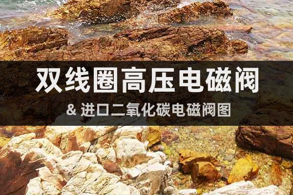 雙線圈高壓電磁閥 & 進口二氧化碳電磁閥圖