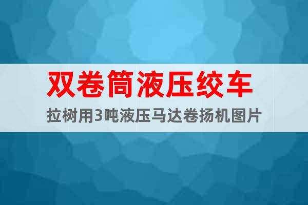 雙卷筒液壓絞車 拉樹用3噸液壓馬達(dá)卷揚(yáng)機(jī)圖片