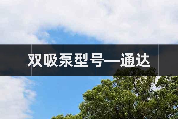 雙吸泵型號(hào)—通達(dá)