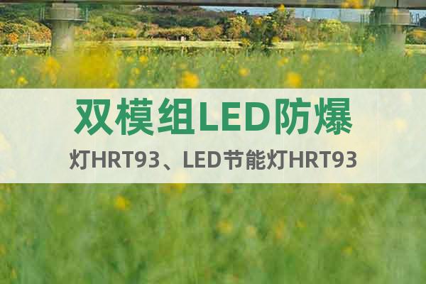 双模组LED防爆灯HRT93、LED节能灯HRT93