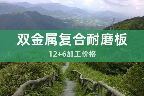 雙金屬復(fù)合耐磨板12+6加工價格