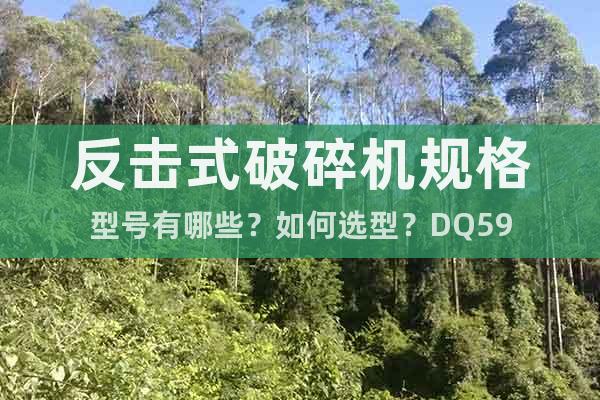 反擊式破碎機規格型號有哪些?如何選型?DQ59