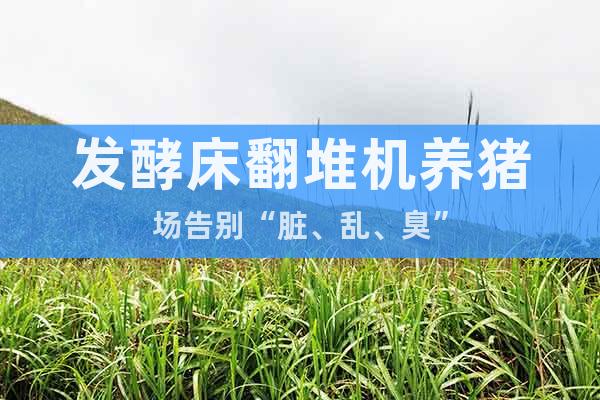 發(fā)酵床翻堆機(jī)養(yǎng)豬場(chǎng)告別“臟、亂、臭”