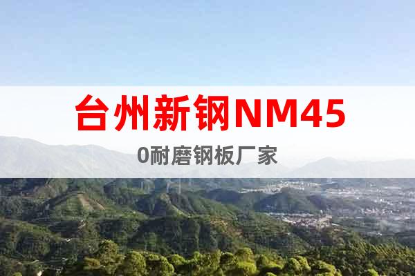 台州新钢NM450耐磨钢板厂家