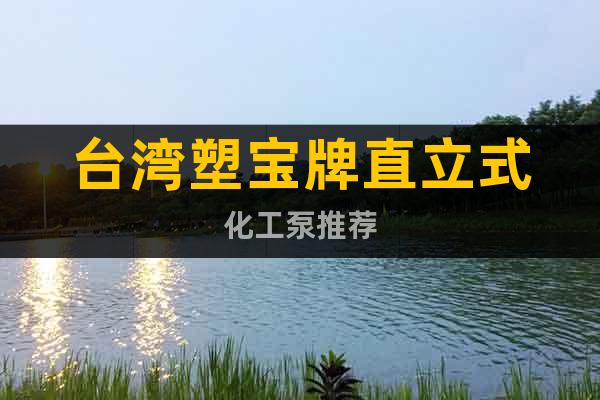 台湾塑宝牌直立式化工泵推荐