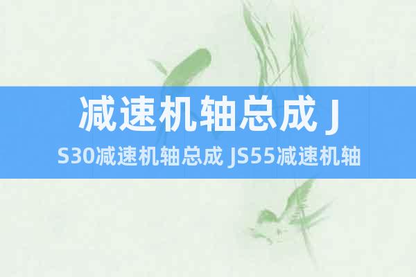 減速機(jī)軸總成 JS30減速機(jī)軸總成 JS55減速機(jī)軸總成