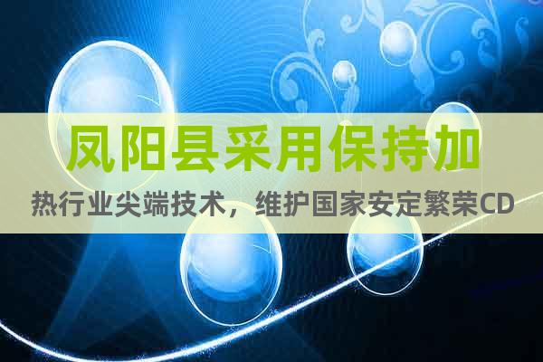 凤阳县采用保持加热行业尖端技术，维护国家安定繁荣CD11EP