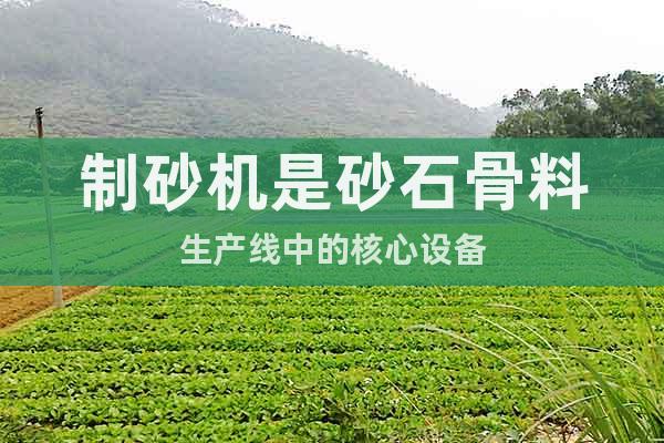 制砂機(jī)是砂石骨料生產(chǎn)線中的核心設(shè)備
