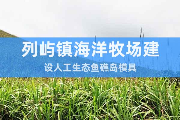 列嶼鎮(zhèn)海洋牧場建設人工生態(tài)魚礁島模具