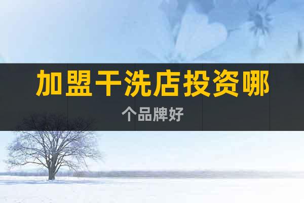 加盟干洗店投資哪個品牌好