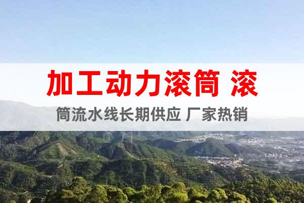 加工動力滾筒 滾筒流水線長期供應 廠家熱銷