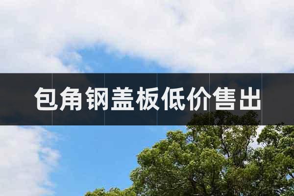 包角鋼蓋板低價(jià)售出