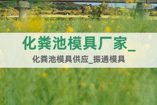 化糞池模具廠家_化糞池模具供應(yīng)_振通模具