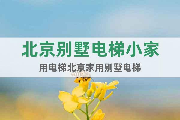 北京別墅電梯小家用電梯北京家用別墅電梯