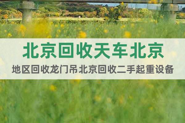 北京回收天車北京地區(qū)回收龍門吊北京回收二手起重設(shè)備