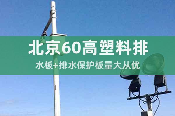 北京60高塑料排水板+排水保护板量大从优