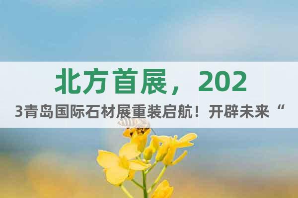 北方首展，2023青岛国际石材展重装启航！开辟未来“新石代”