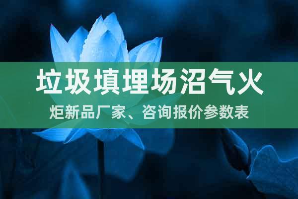 垃圾填埋場(chǎng)沼氣火炬新品廠家、咨詢報(bào)價(jià)參數(shù)表