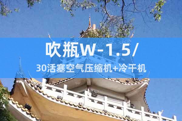 吹瓶W-1.5/30活塞空氣壓縮機+冷干機