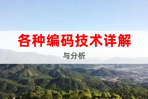 各種編碼技術(shù)詳解與分析
