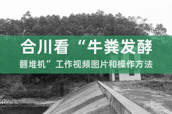 合川看“牛糞發(fā)酵翻堆機(jī)”工作視頻圖片和操作方法