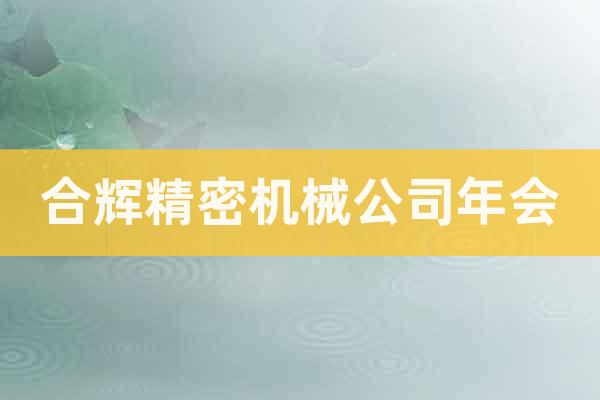 合輝精密機(jī)械公司年會(huì)