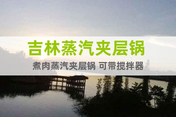 吉林蒸汽夾層鍋 煮肉蒸汽夾層鍋 可帶攪拌器