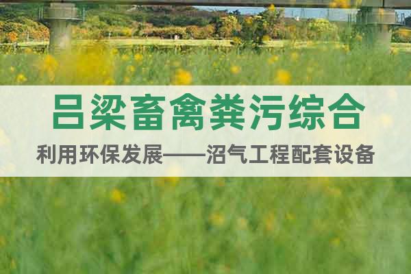 呂梁畜禽糞污綜合利用環(huán)保發(fā)展——沼氣工程配套設(shè)備