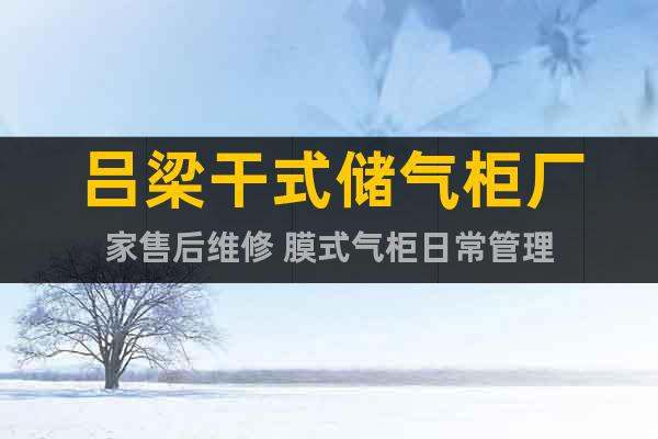 呂梁干式儲氣柜廠家售后維修 膜式氣柜日常管理