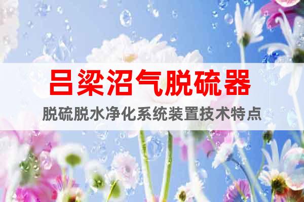 呂梁沼氣脫硫器 脫硫脫水凈化系統(tǒng)裝置技術(shù)特點