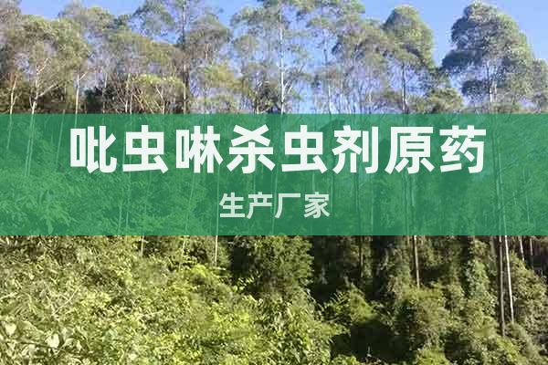 吡蟲啉殺蟲劑原藥生產(chǎn)廠家
