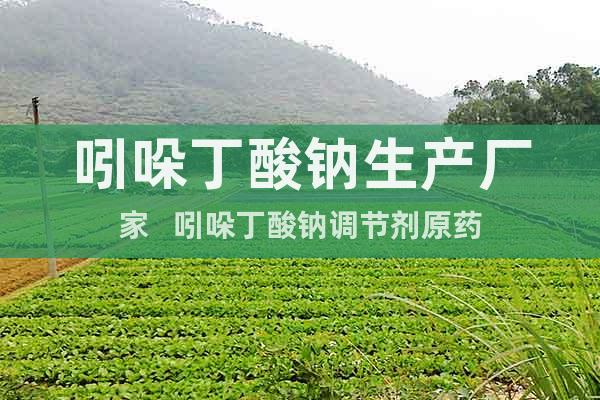 吲哚丁酸鈉生產(chǎn)廠家   吲哚丁酸鈉調(diào)節(jié)劑原藥