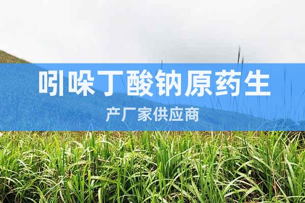吲哚丁酸鈉原藥生產(chǎn)廠家供應(yīng)商