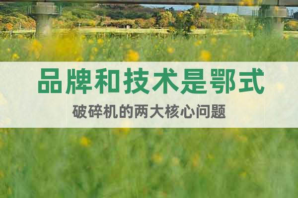 品牌和技術是鄂式破碎機的兩大核心問題