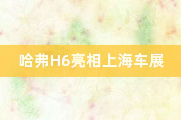 哈弗H6亮相上海車展