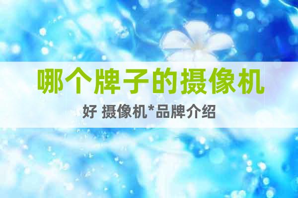 哪個牌子的攝像機好 攝像機*品牌介紹