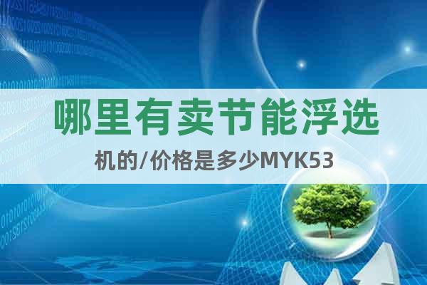 哪里有賣節(jié)能浮選機的/價格是多少MYK53