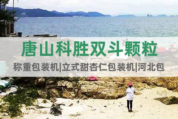 唐山科勝雙斗顆粒稱重包裝機|立式甜杏仁包裝機|河北包裝機