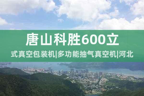 唐山科勝600立式真空包裝機(jī)|多功能抽氣真空機(jī)|河北包裝機(jī)