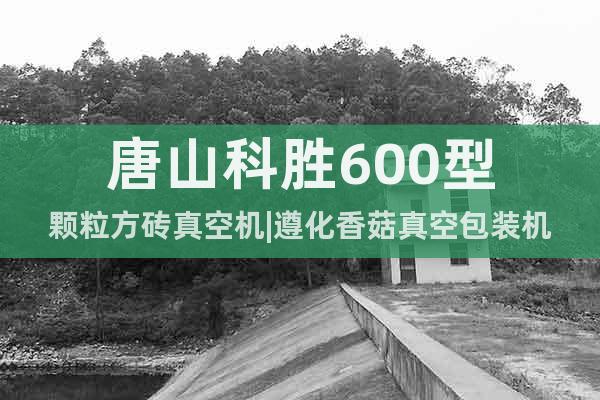 唐山科勝600型顆粒方磚真空機(jī)|遵化香菇真空包裝機(jī)