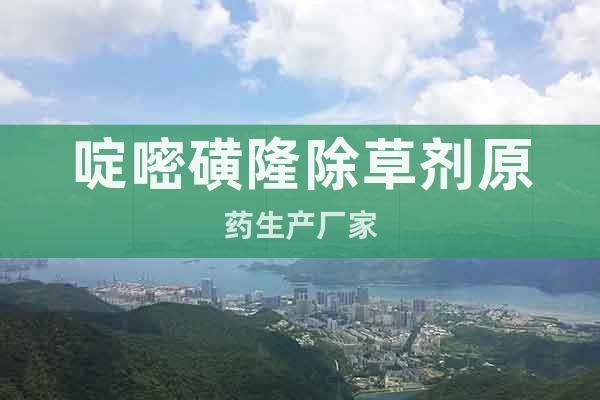 啶嘧磺隆除草劑原藥生產(chǎn)廠家