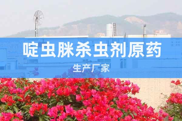 啶蟲脒殺蟲劑原藥生產(chǎn)廠家