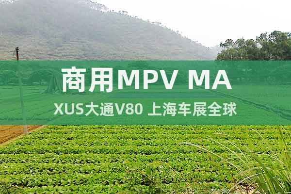 商用MPV MAXUS大通V80 上海车展全球