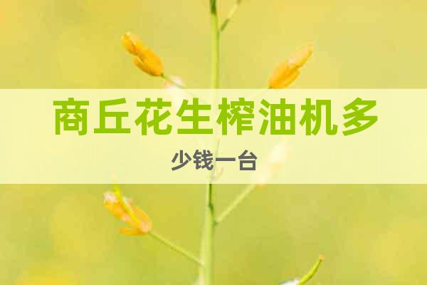 商丘花生榨油機多少錢一臺