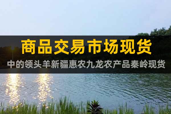 商品交易市場現(xiàn)貨中的領(lǐng)頭羊新疆惠農(nóng)九龍農(nóng)產(chǎn)品秦嶺現(xiàn)貨