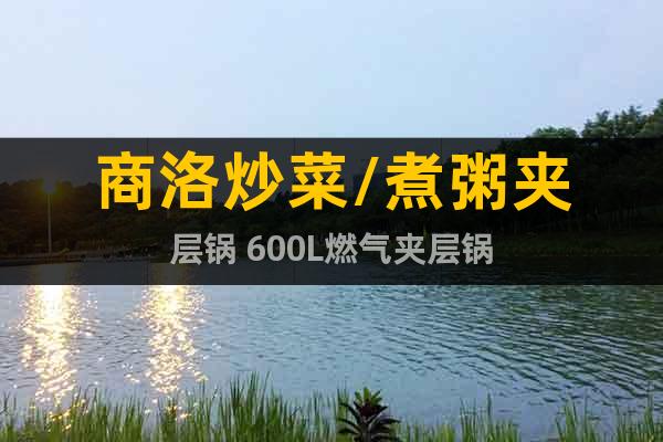 商洛炒菜/煮粥夾層鍋 600L燃氣夾層鍋