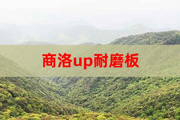 商洛up耐磨板